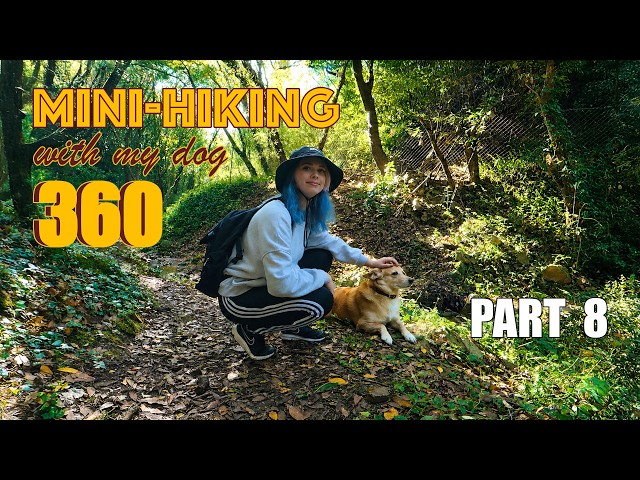 Mini-Hiking Adventure With My Dog PART 8 (360° / VR):