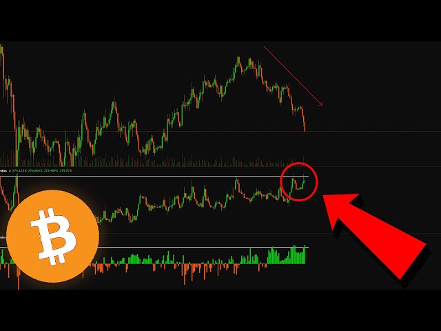 WARNING TO ALL BITCOIN HOLDERS: IT WILL GET WORSE...