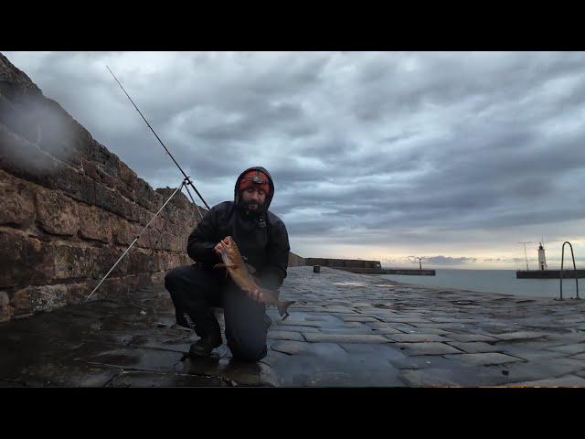 Cod fishing UK | Early season codling