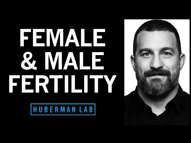How to Optimize Fertility in Males & Females