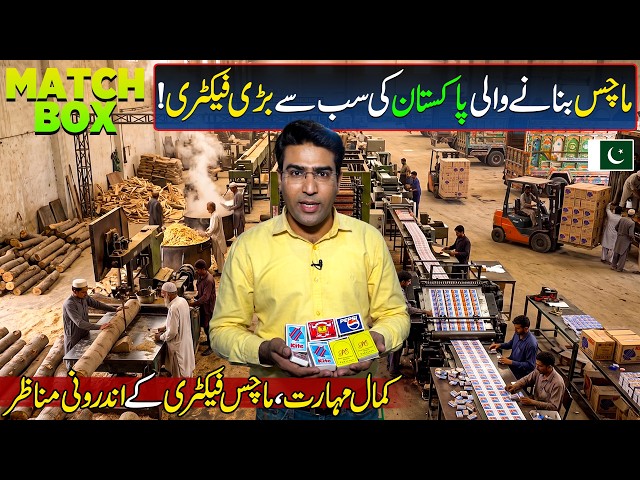 Pakistan's Biggest Match Box Manufacturing Plant | Mohsin Match Factory Tour | Made in Pakistan