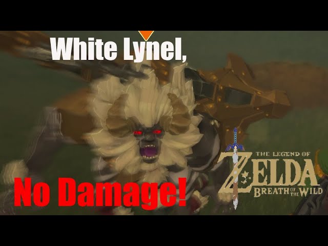BOTW, White Lynel, No Damage #breathofthewildgameplay #botw #zelda