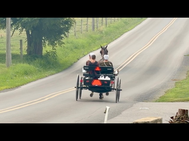 [American Oddity] A Mysterious Community That Uses No Phones or Cars, Yet Seems Peaceful and Has ...