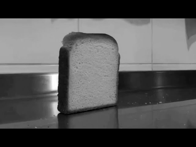 Bread Falling Over But It’s Very Sad