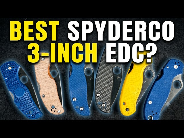 The Best 3 Inch Spyderco? | Para 3 vs Native 5 vs Sage Series