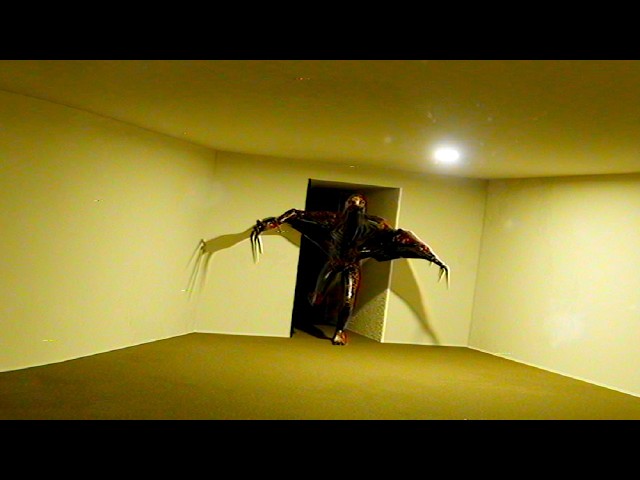 Backrooms - Found Footage #47(Interrogative Infohazard)
