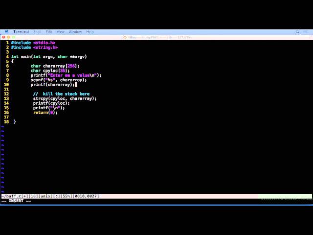 07 03 Hacking and Penetration - Format String Attacks