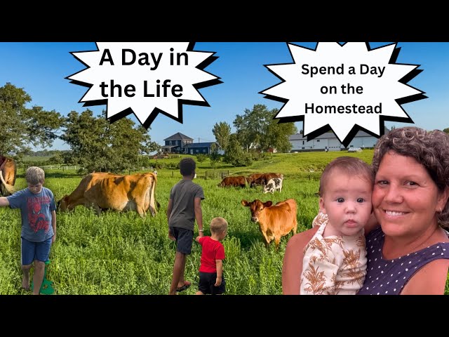 An Average Day on a Homestead, Slow Living
