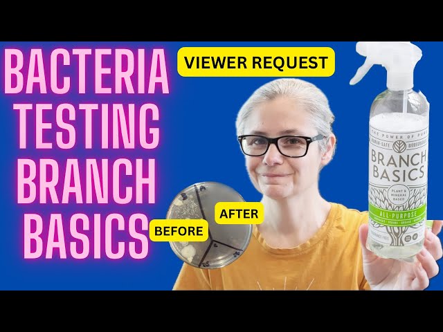 Testing Branch Basics to see if it can Remove Bacteria! - Viewer Request!