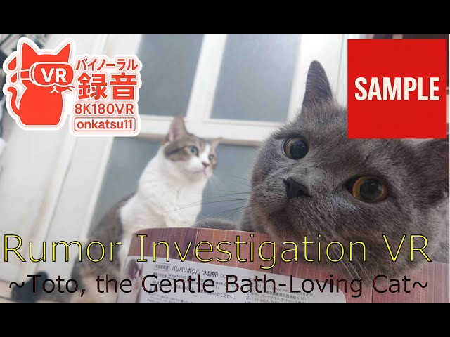 【SAMPLE】🐱 [Test VR] Can Adorable Kitten Meows Really Trigger Your Parental Instincts?!