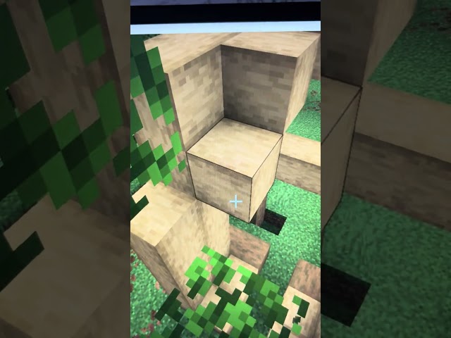Making a rabbit that you in Minecraft tutorial ￼