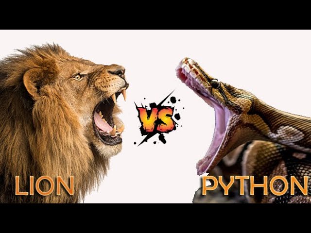 LION VS PYTHON || Which will win in this Legendary Battle?