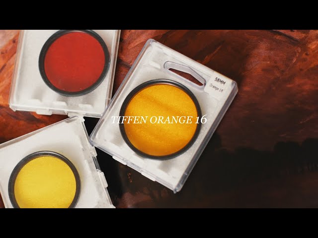 Shooting B&W w/ an Orange Filter