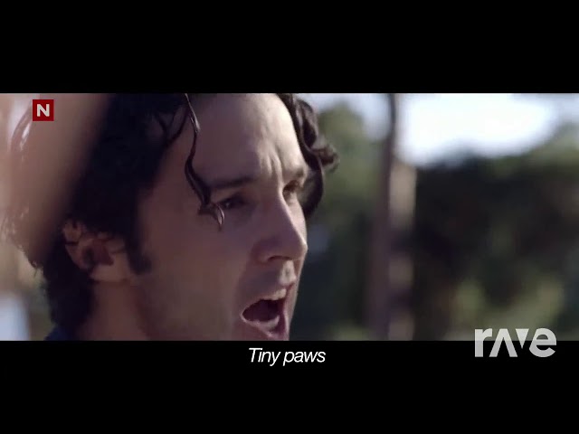 The Clarity - Zedd & Ylvis ft. Foxes | RaveDj