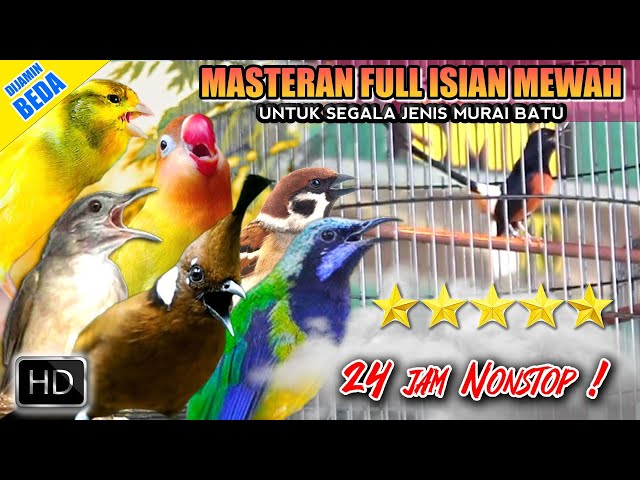 #1 MASTERAN MURAI BATU FULL ISIAN TEMBAKAN MEWAH ‼️