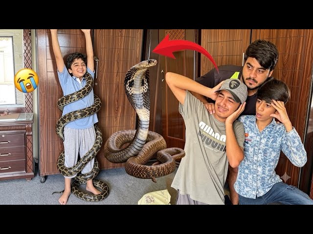 MAMU KA PICHE SAAMP PAD GAYA 😭 MUNNA GOT SCARED OF A SNAKE 