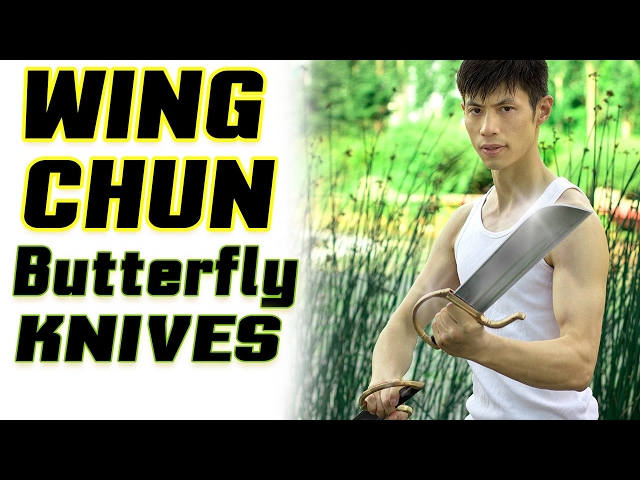Wing Chun Butterfly Knives Form -  AMAZING! Bart Cham Dao Techniques