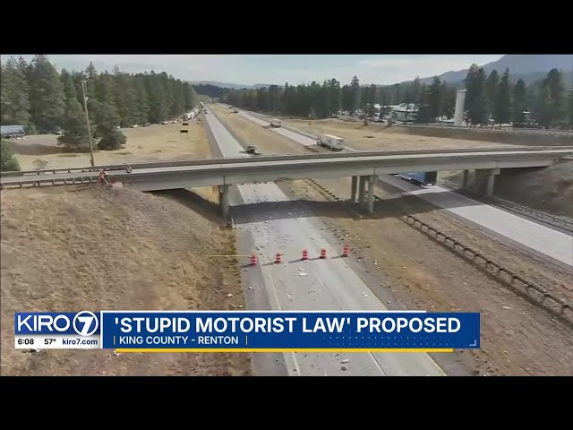 ‘Stupid Motorist Law’ proposed
