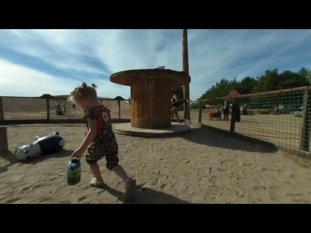 Pumpkin patch 2