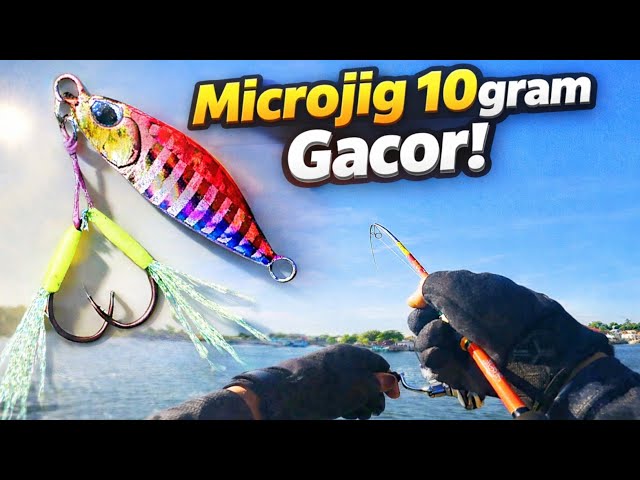 Ultralight Fishing Without Expensive Bait • Dragonfly 1-3 ft. Shimano Stradic FL 1000 HG
