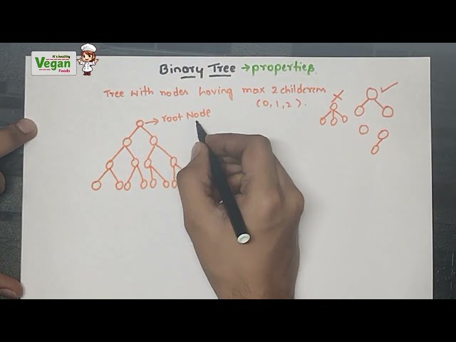 Binary trees |Data structures and algorithms