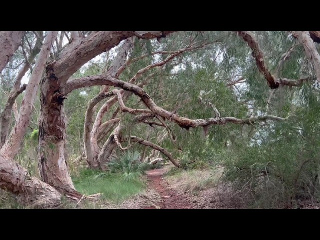 Hiking Millstream Chichester National Park, WA