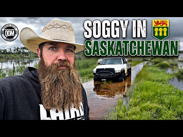 Soggy In Saskatchewan 
