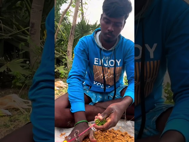 💢 நீண்ட நாட்களுக்கு பிறகு ஒரு கெண்டை மீன் வேட்டை ‼️ #shortsfeed #shorts #carpfishing #ballset