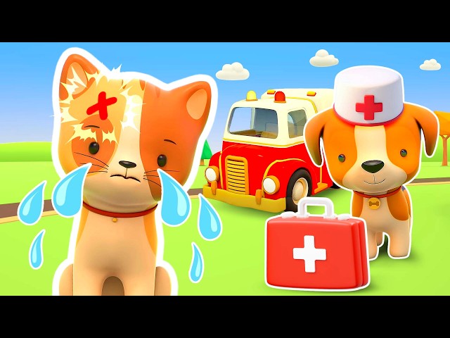 A puppy and an ambulance help a kitten after an accident on the way home.