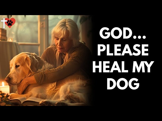 God, Heal My Dog – The Most Powerful Prayer for Sick Pets – prayer for dog