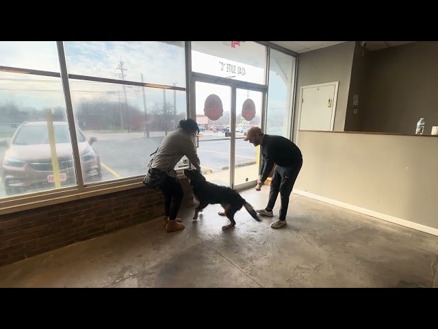 Moose's Owner Reunion | 15 Day Board & Train