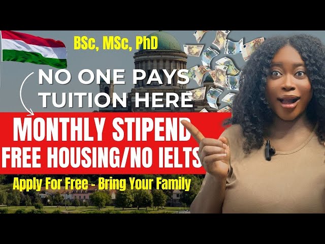 Free Education in Europe: No Tuition | No Application Fee | No Age Limit - Fully Funded Scholarship
