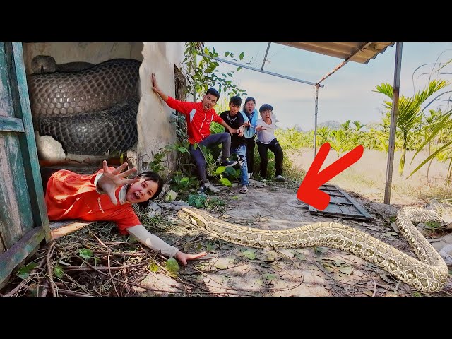 Brave Hunters Team Rescues Ethnic Girl Attacked by Anaconda Nest in Abandoned House