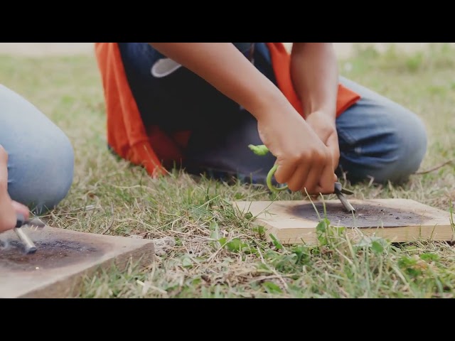 The Survival Element - Primitive Hunting Basics