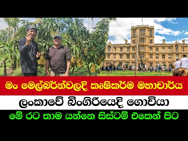 Why an Australian Agri Professor Chose Farming in Sri Lanka