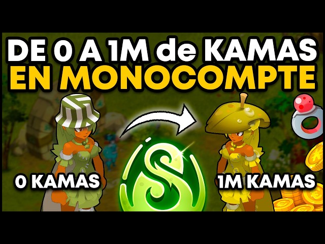 From 0 to 1M KAMAS STARTING FROM 0 in SINGLE ACCOUNT on DOFUS