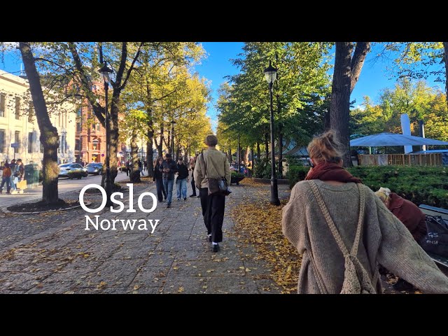 OSLO NORWAY, Fall Walk In Oslo City🍂🇳🇴Virtual Walking Tour! 4K
