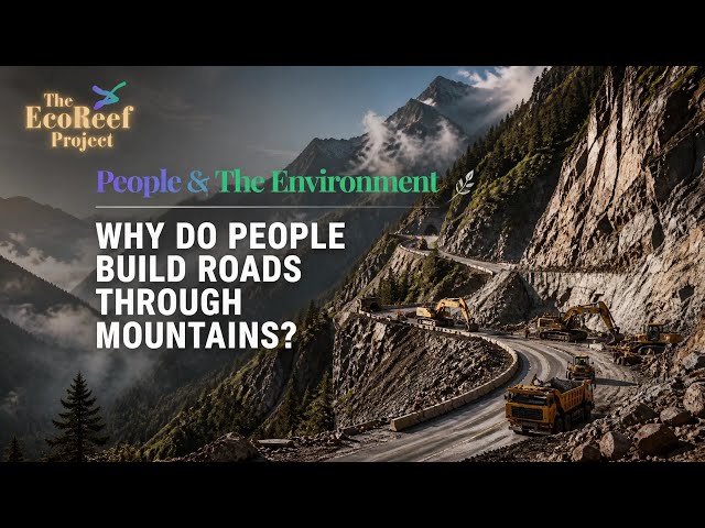 How Engineers Conquer Mountains - The Impossible Road Challenge