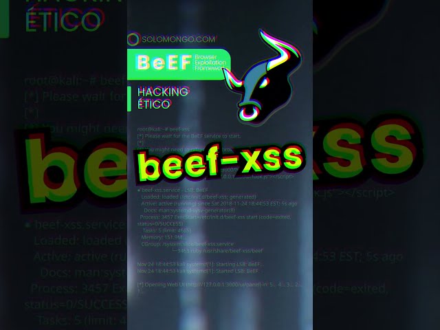 015 BeEF⚡#redteam #XSS #injection #webbrowsers #navegadores #hack #beef #kali_linux #SEPE #formación