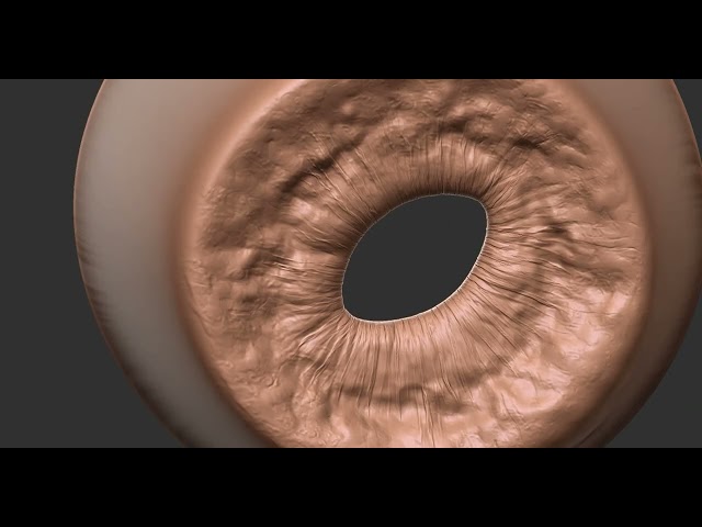 Iris Sculpting and the beginnings of shader development