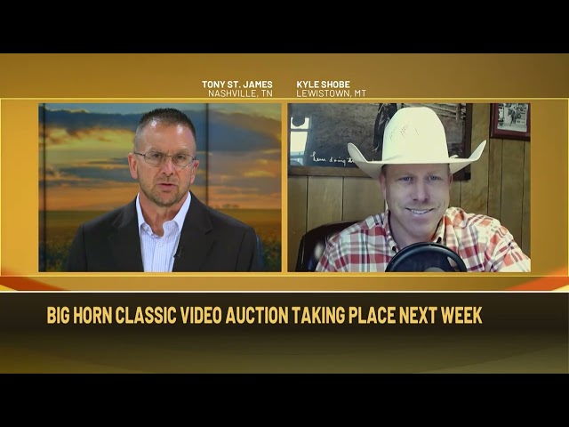 RFD-TV Cattle Market Report | Record Cattle Market and What's to Come
