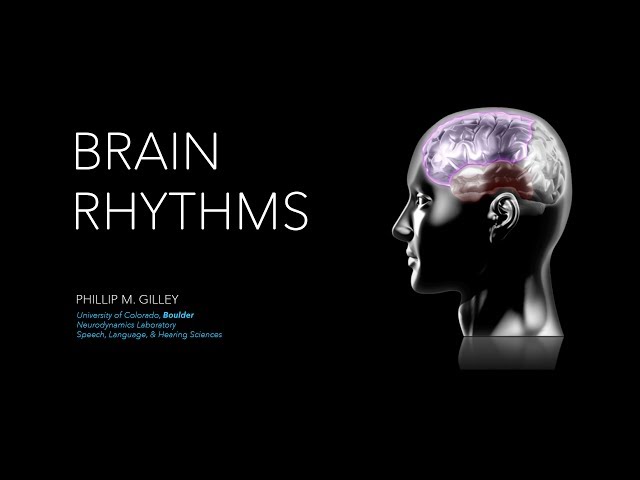 Brain Rhythms: Functional Brain Networks Mediated by Oscillatory Neural Coupling