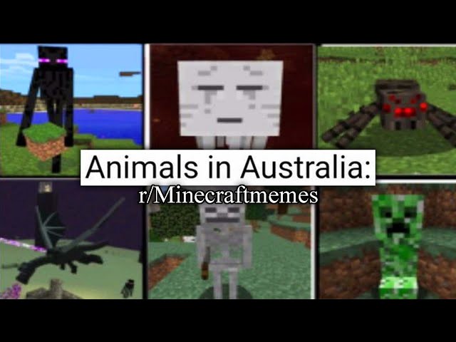 r/Minecraftmemes | run as fast as you can