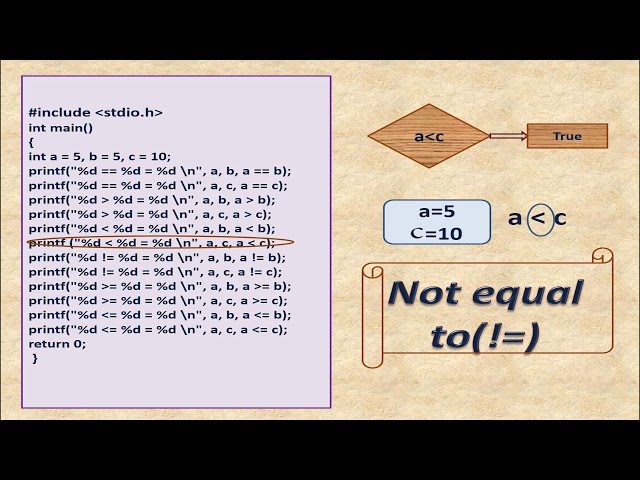 PPS unit 3 topic 1 video 4