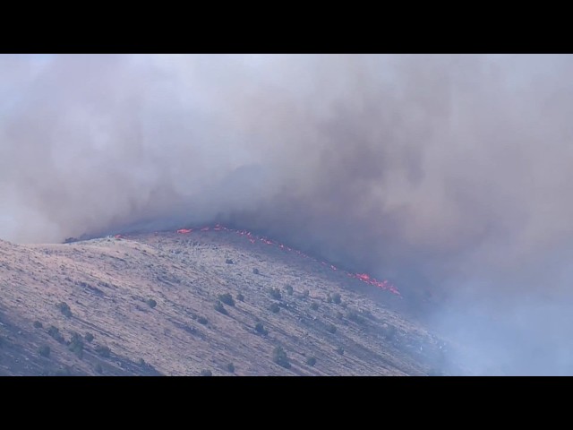 Bug Fire grows to 15,000 acres along the California-Nevada border