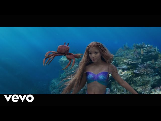 Lester Ciarreta Hernandez, Cast - The Little Mermaid - Bajo el mar (De "La Sirenita")