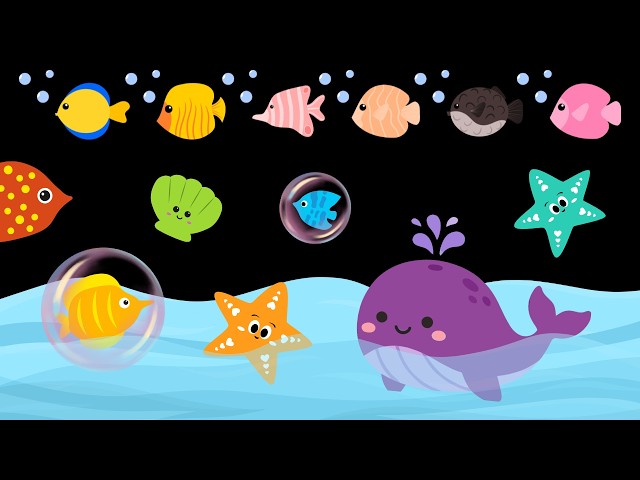 Baby Sensory Video – Newborn Visual Stimulation – Sensory Videos for Babies - Tummy Time #baby
