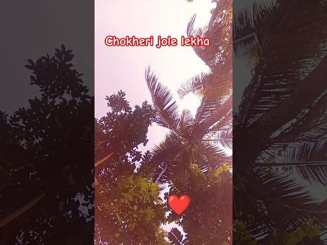 ❤❤chokheri jole lekha ❤❤ #song #music #coversong #love #barsaat #lovesong #barshat #lovemusic #funn