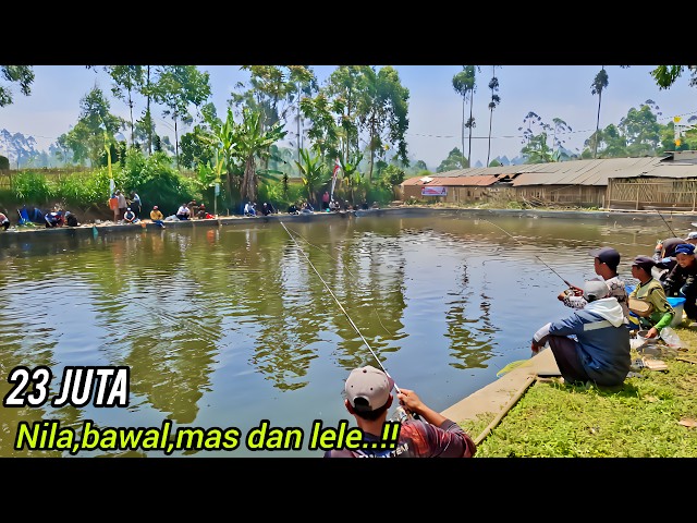 FILL STRIKE CLOM GURUNYUT..!! The excitement of fishing in a 23 million rupiah pool in Pangalengan
