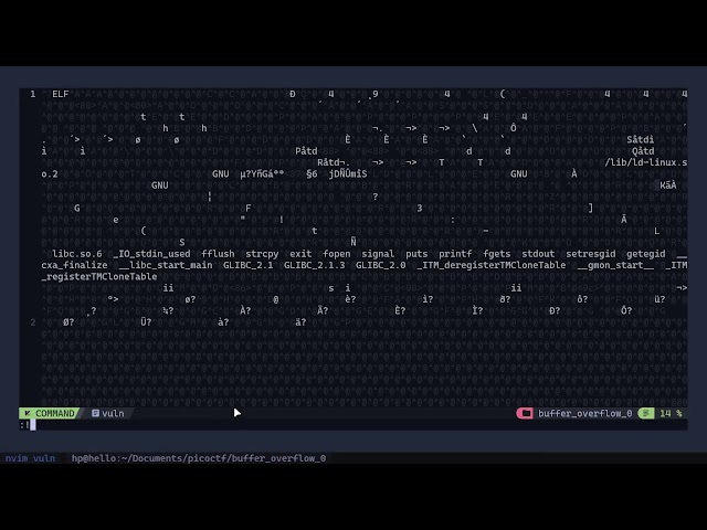 buffer overflow 0 - Binary exploitation | PicoCTF
